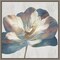 Glowing Soul (Flower) by Eva Watts 16-in. W x 16-in. H. Canvas Wall Art Print Framed in Grey